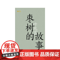 枣树的故事 共和国作家文库 叶兆言 著 小说