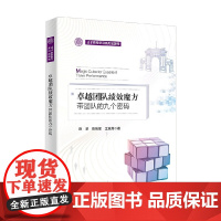 卓越团队绩效魔方 带团队的九个密码 陈慧等 著 管理