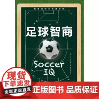 足球智商 丹•布兰克 著 体育运动