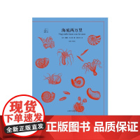 海底两万里 译文40 2023年新定价 凡尔纳 著 小说