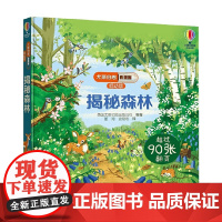 揭秘森林 3-6岁 英国尤斯伯恩出版公司 著 科普百科