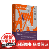 生命的火花 雷马克 著 小说