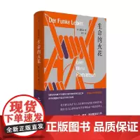 生命的火花 雷马克 著 小说