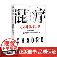 混序小团队管理 带团队的三大原则和十项修炼 李文等 著 管理