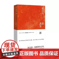路遇见路 裘山山 著 小说