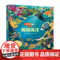 揭秘海洋 3-6岁 英国尤斯伯恩出版公司 著 科普百科