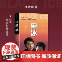 黑冰 张成功 著 小说