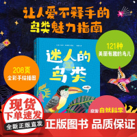 迷人的鸟类 7-10岁 米莎布莱斯著 文津奖作者重磅新作121副鸟类绝美插图和有趣知识 让人深深着迷的鸟类魅力指南