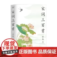 宋词三百首 2023 陈引驰 著 文学