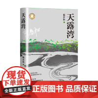 天露湾 陈应松 著 小说