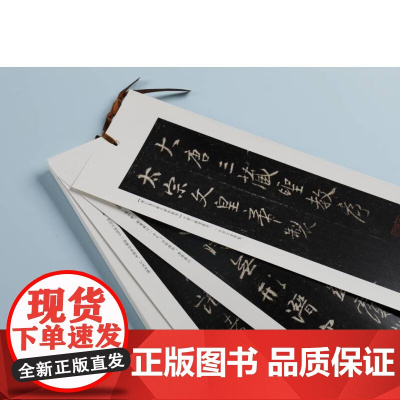 书法摹临两用帖 怀仁集王羲之书圣教序 上海书画出版社 编著 书法