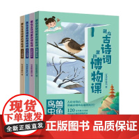 藏在古诗词里的博物课 全四册 安迪斯晨风 著 课外读物