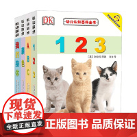 DK幼儿认知游戏书上 123+ABC+我的身体+颜色 DK公司 著 幼儿启蒙
