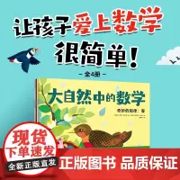 大自然中的数学 全4册 3-6岁 莉安·弗拉特 等著 科普百科