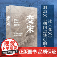 变宋 王安石改革的逻辑与陷阱 徐富海 著 历史