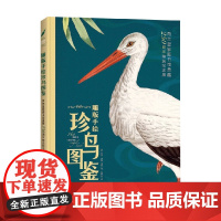 雕版手绘珍鸟图鉴 比比·多姆·塔克 著 科普百科