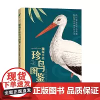 雕版手绘珍鸟图鉴 比比·多姆·塔克 著 科普百科