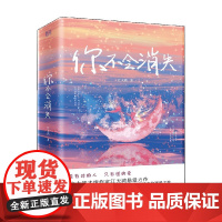 你不会消失 全二册 江天鸿 著 小说