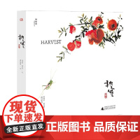 神秘岛 秋实 7-14岁 周国平 等 著 儿童绘本