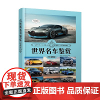 世界名车鉴赏 珍藏版 世界文化鉴赏系列 《深度文化》编委会 编著 艺术