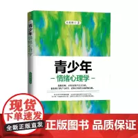 青少年情绪心理学 乐庆辉 著 育儿家教