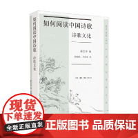 如何阅读中国诗歌 诗歌文化 蔡宗齐 著 文化