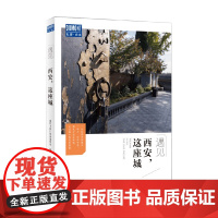 西安 这座城 藏羚羊旅行指南编辑部 著 旅游地图