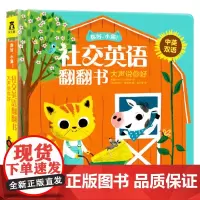 你好 小猫 社交英语翻翻书 大声说你好 0-2岁 英国Nosy Crow团队 著 少儿英语