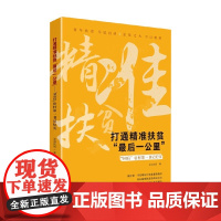 打通精准扶贫 最后一公里 90后 驻村第一书记纪实 澎湃新闻 著 经济