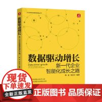 数据驱动增长 新一代企业智能化成长路径 梅波等 著 管理