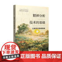 精神分析技术的基础 拉康派实践者指南 布鲁斯·芬克 著 心理学
