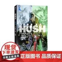 蝙蝠侠 缄默 杰夫·洛布 著 动漫