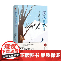疾风回旋曲 精装版 东野圭吾 著 小说