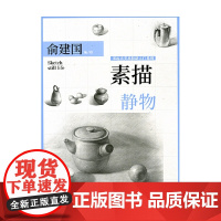 素描 俞建国 著 绘画