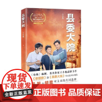 县委大院 王小枪 著 小说