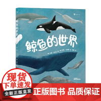 鲸鱼的世界 达西·多贝尔 著 一本关于鲸鱼的高颜值科普图册 带领小读者探索鲸鱼的秘密 科普百科