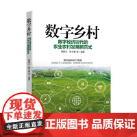 数字乡村 数字经济时代的农业农村发展新范式 郭顺义等 著 经济