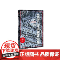 美国小城镇的死与生 译文纪实 尼克·雷丁 著 文学