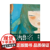 以鸟兽之名 孙频 著 小说