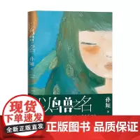 以鸟兽之名 孙频 著 小说