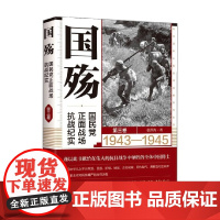 国殇 国民党正面战场抗战纪实 第三卷 张洪涛 著 军事