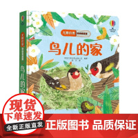 鸟儿的家 0-2岁 英国尤斯伯恩出版公司 著 科普百科