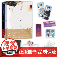 [随书赠品丰富]飞鸥不下 全2册 回南雀 著 盛珉鸥x陆枫 抓到你了 我的鸥鸟 青春文学