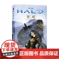 光环 惩戒 特洛伊˙邓宁 著 小说