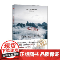 水之眼 多明戈·维拉尔 著 小说