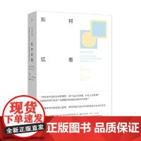 如何观看 关于艺术的看 说 思 大卫·萨利 著 艺术