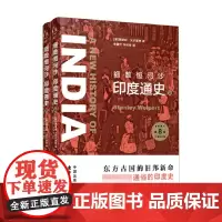 细数恒河沙 印度通史 上下册 斯坦利·沃尔波特 著 历史