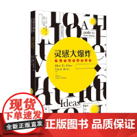 灵感大爆炸 约翰·恩格迪沃 著 艺术