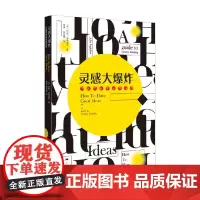 灵感大爆炸 约翰·恩格迪沃 著 艺术