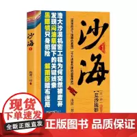 沙海 1 南派三叔 盗墓笔记后续 吴邪的盗墓笔记 悬疑推理小说十年藏海花小说